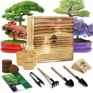 Read more about the article Bonsai Tree Kit Review
