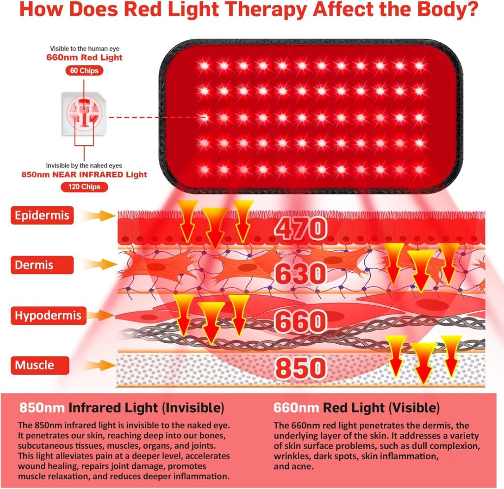 Red Light Therapy Belt, Infrared Light Therapy for Body, Wearable Wrap with Timer for Back Shoulder Waist Muscle Pain Relief, Improve Joint Inflammation, Red Light Therapy for Body Red Light Therapy Belt, Infrared Light Therapy for Body, Wearable Wrap with Timer for Back Shoulder Waist Muscle Pain Relief, Improve Joint Inflammation, Red Light Therapy for Body