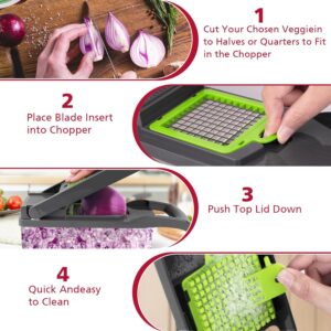 Read more about the article Vegetable Chopper Review