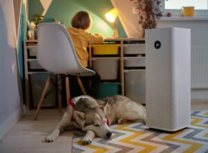 Read more about the article Best Home Air Purifiers for Cleaner Indoor Air in 2025