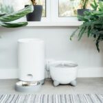 Best Water Fountains for Dogs: Top Picks to Keep Your Pet Hydrated in 2025