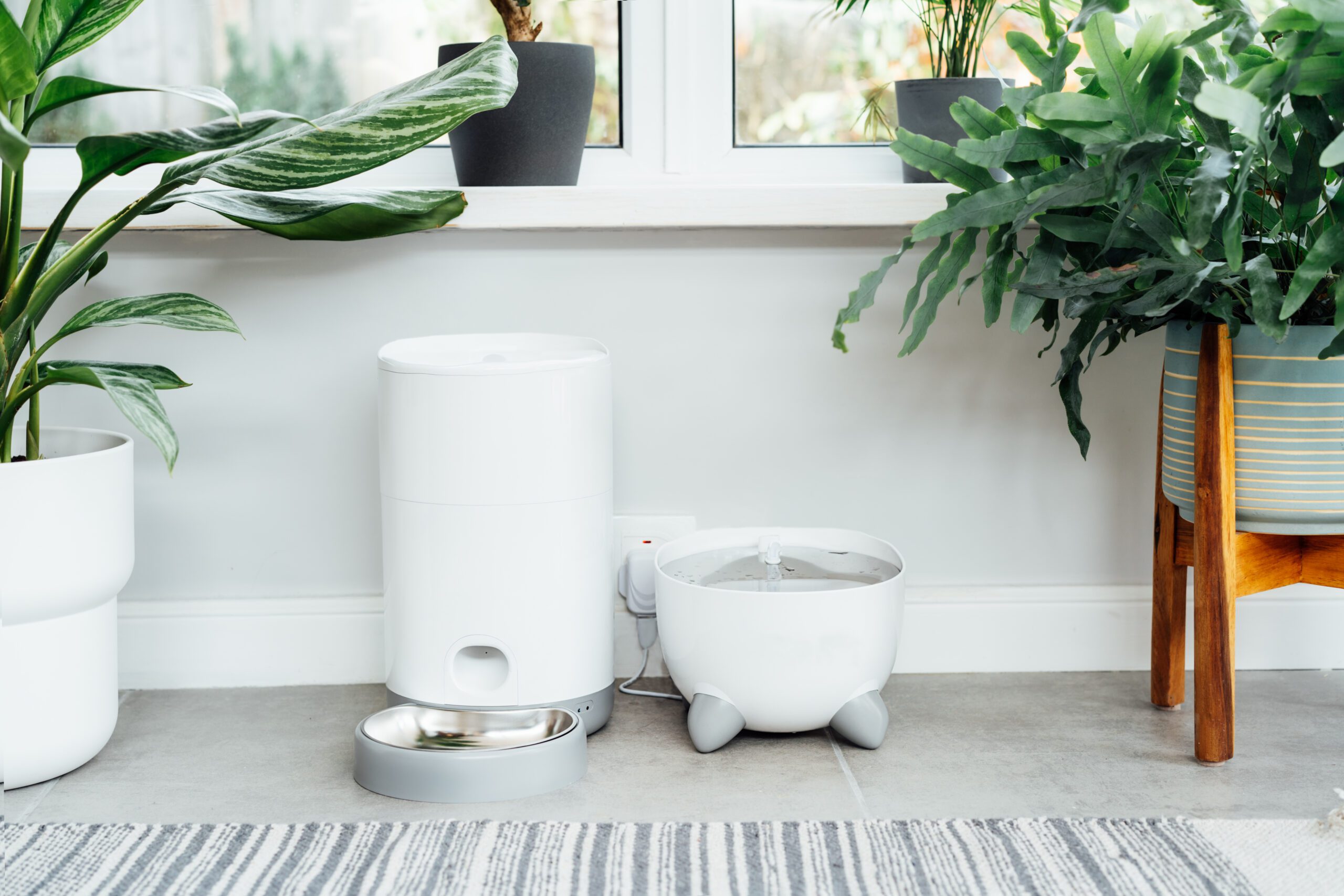 Read more about the article Best Water Fountains for Dogs: Top Picks to Keep Your Pet Hydrated in 2025
