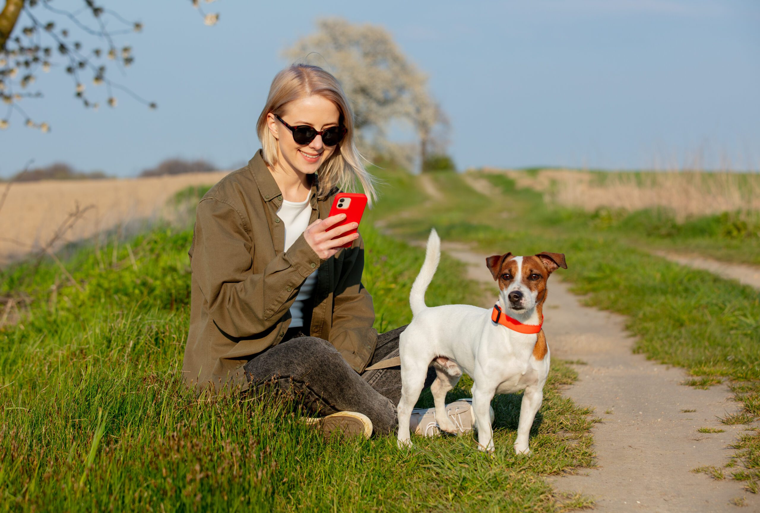 You are currently viewing Best GPS trackers for dogs in 2025: Top-rated devices for pet safety and location monitoring