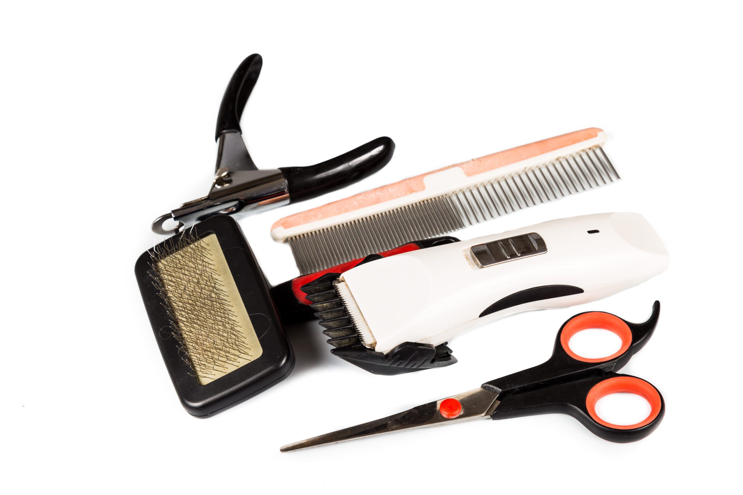 Read more about the article Best Grooming Kits for Dogs: Complete Guide to Professional-Quality Tools for Home Use