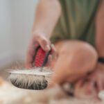 Dog Shedding Tools That Actually Work for Heavy Coat Management in 2025