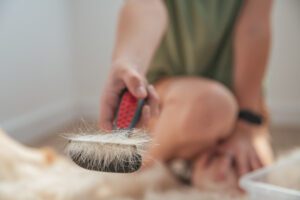 Read more about the article Dog Shedding Tools That Actually Work for Heavy Coat Management in 2025
