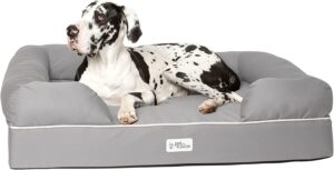Read more about the article PetFusion Ultimate Dog Bed Review