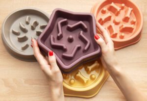 Read more about the article Best Slow Feeder Dog Bowl Options for Healthier Eating Habits in 2025